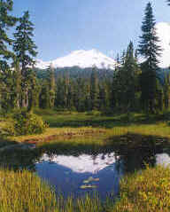 Mount Baker