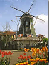 Lynden Washington Dutch Windmill in Whatcom County