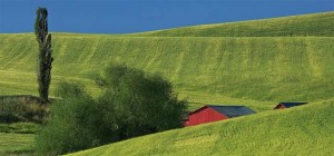 Tours in the Palouse