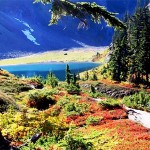 whatcom-county