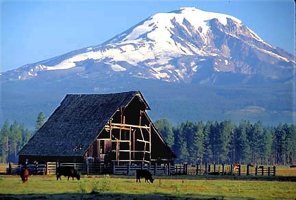 Washington Volcanoes Mount Rainier
