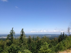 Bellingham Washington from Galbraith Mountain