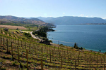 Mellisoni Vineyards