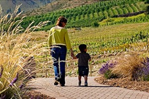 Nefarious Cellars in Chelan View