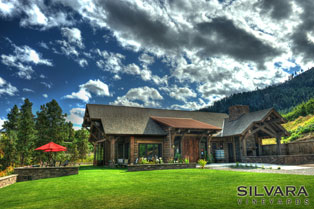 Silvary Vineyards summer photo