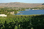 Vin du Lac Winery Vinyards