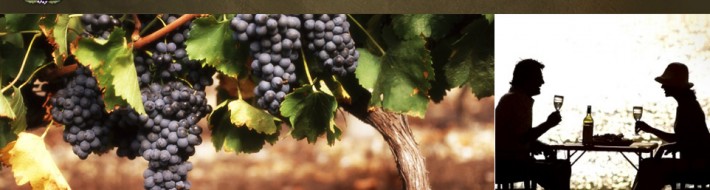 Wine Glossary and Wine Terms Washington State Wine Glossary and Wine Terms