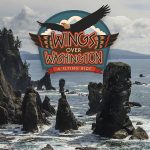 Wings Over Washington Flying Ride in Seattle