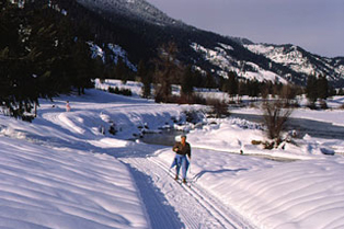 nordic skiing