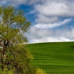 Hills in the Palouse Washington State
