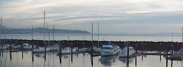 Bellingham Webcam