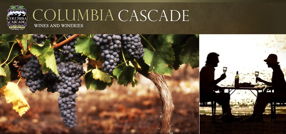 Washington State Wine Glossary and Wine Terms